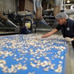 california garlic cloves