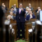 scheer