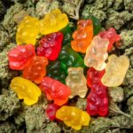 cannabis gummies