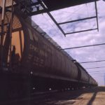 canola by rail