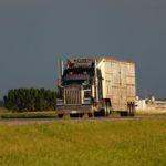 livestock truck