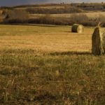 hay bales