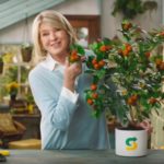 subway martha stewart