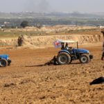 gaza farmland