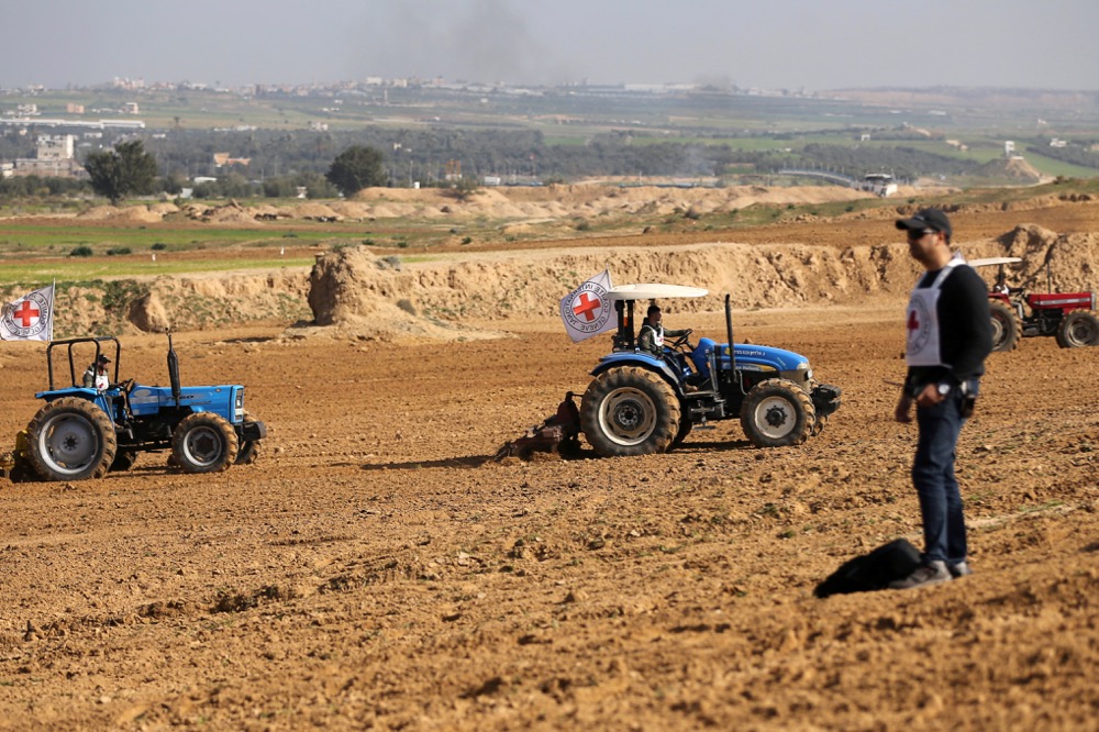 gaza farmland