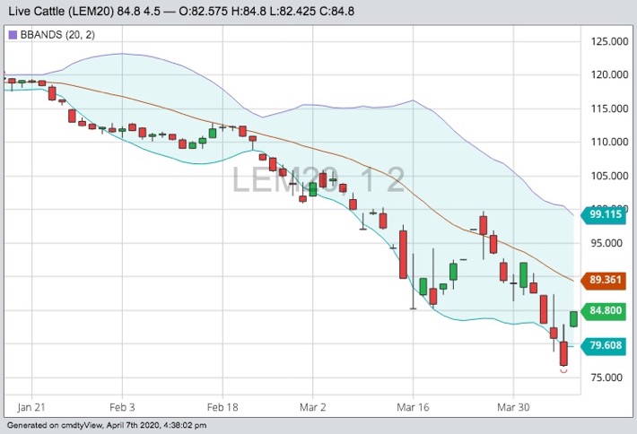 cme june live cattle
