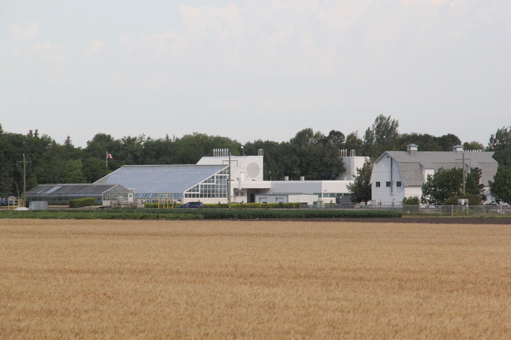 aafc morden