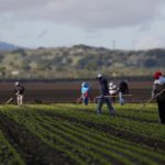 salinas valley farm workers