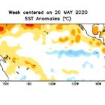 SST anomalies
