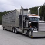 stock truck and trailer