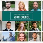 youth council