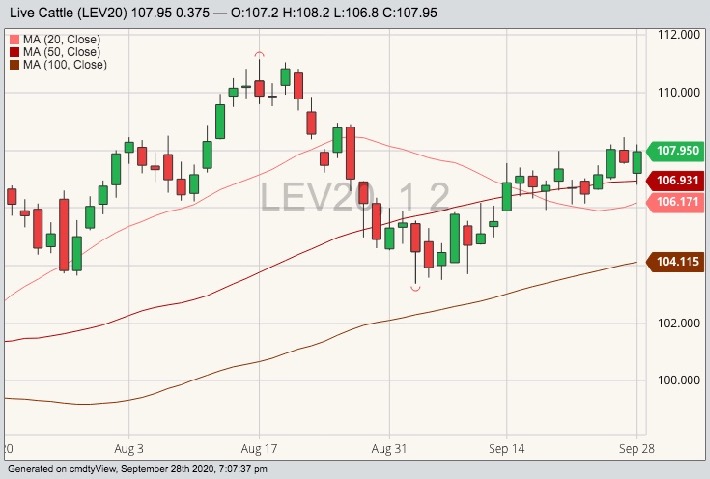 cme october live cattle