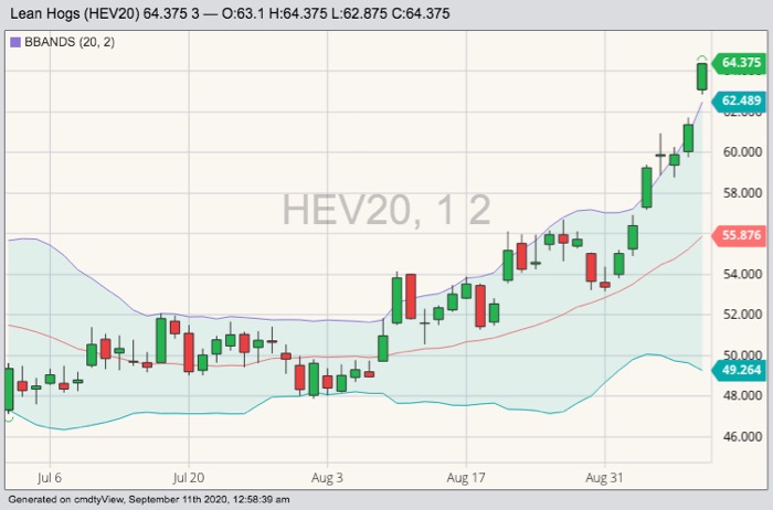 CME october lean hogs