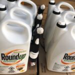 roundup jugs