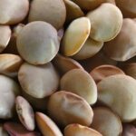 green lentils