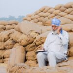 india grain market