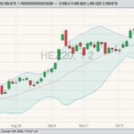 cme december hogs