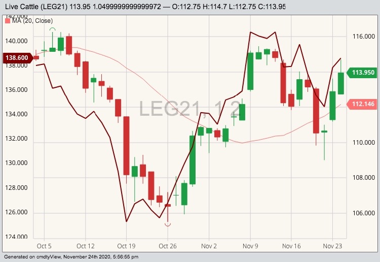 cme february live cattle