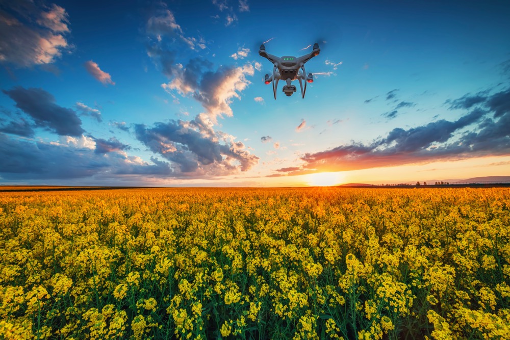 drone in field