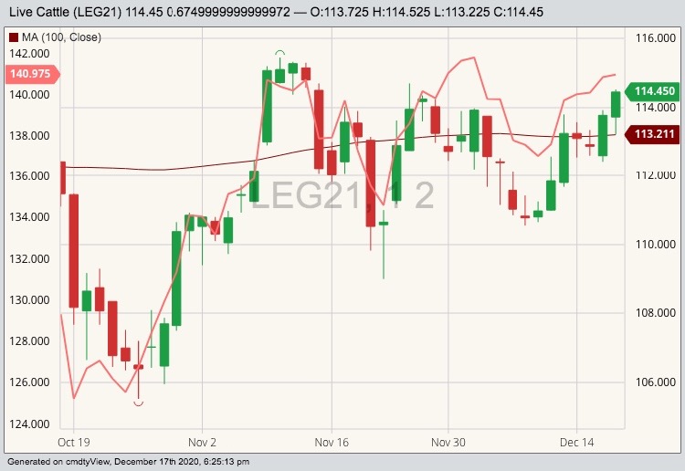 cme february live cattle