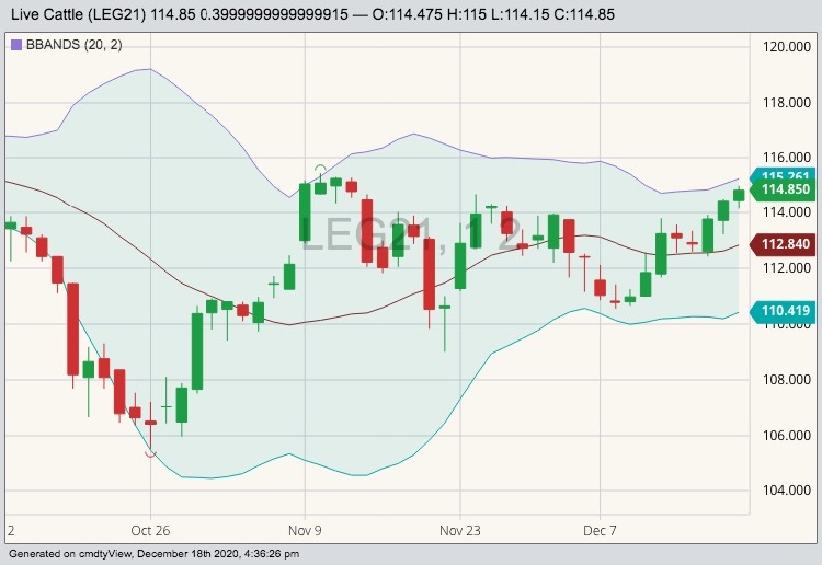 CME february live cattle