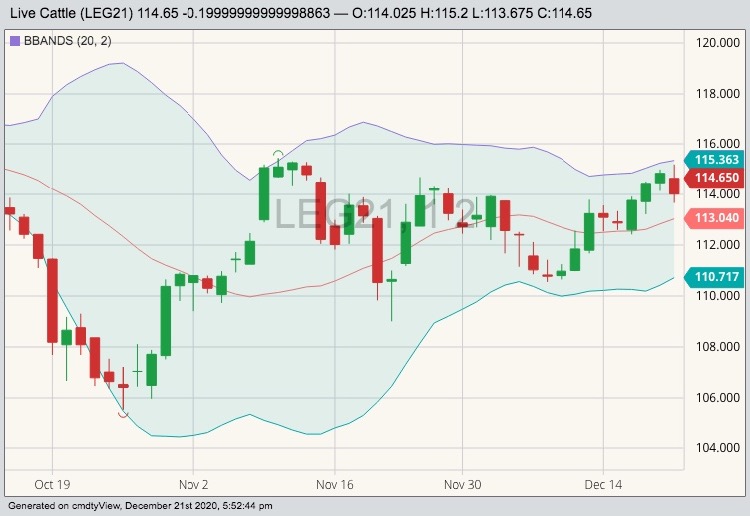 cme february live cattle