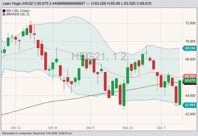 cme february lean hogs