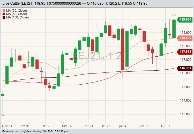 cme april live cattle
