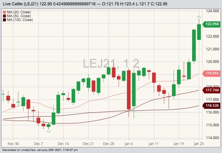 cme april live cattle