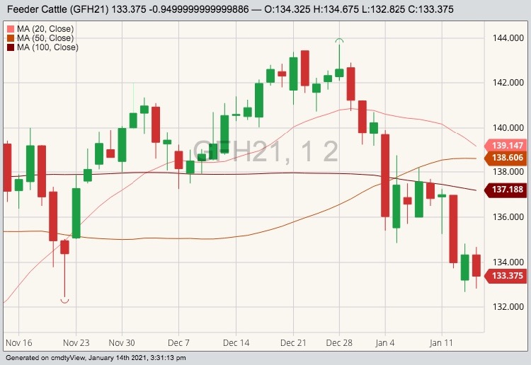 cme march feeder cattle