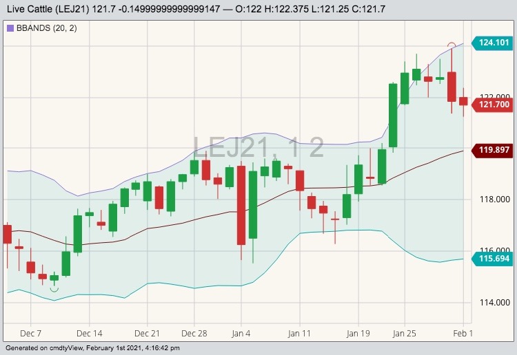 cme april live cattle