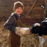 kid feeds dairy calf