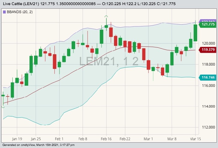 cme june live cattle