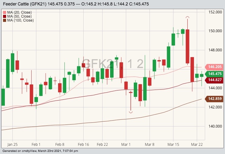 cme may feeder cattle