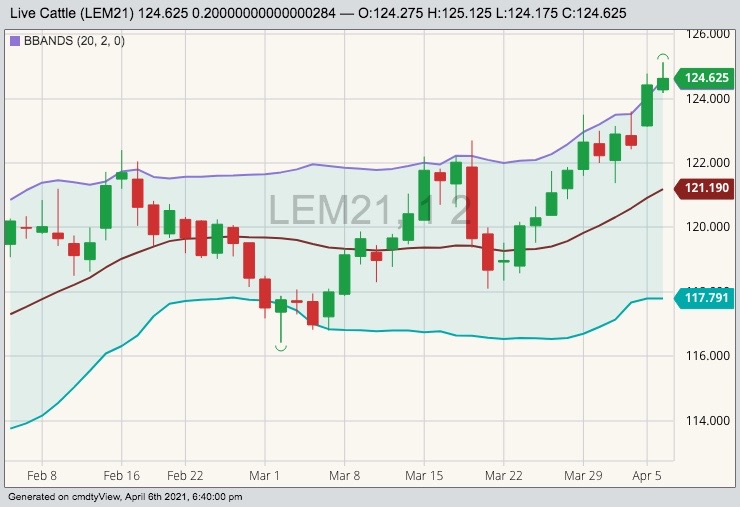 cme june live cattle