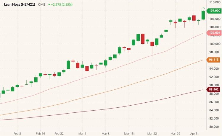cme june lean hogs
