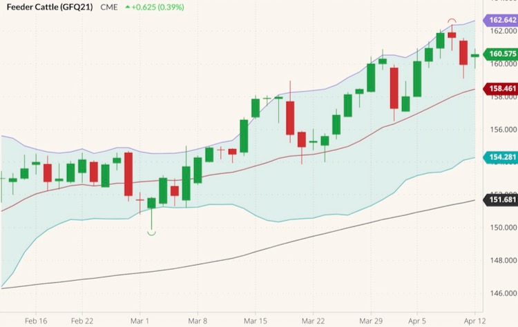 cme august feeder cattle