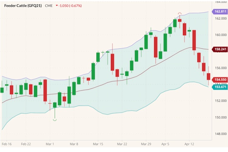 cme august feeder cattle