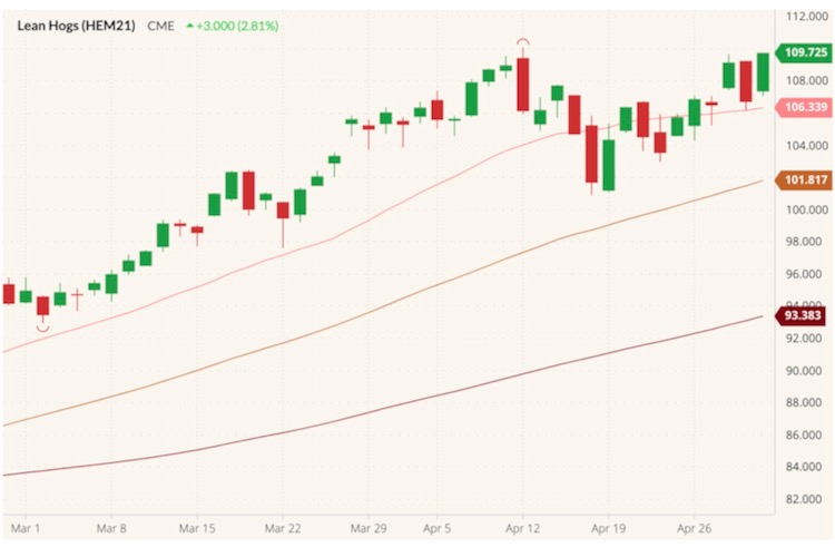 cme june lean hogs