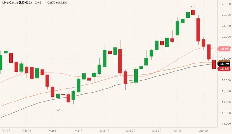 cme june live cattle