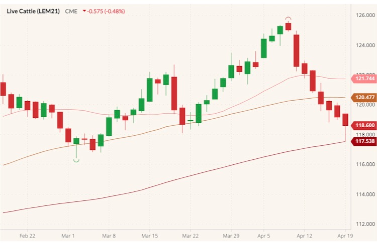 cme june live cattle