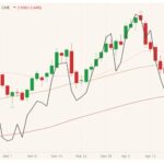 cme june live cattle