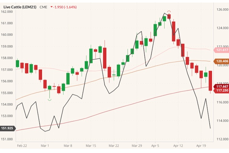 cme june live cattle