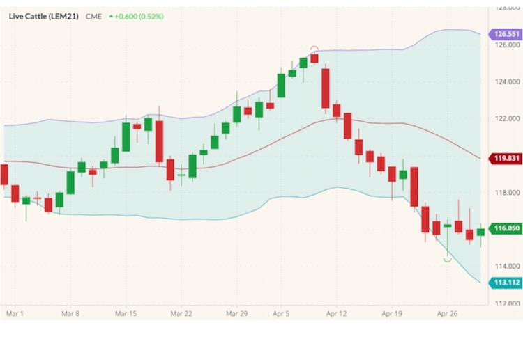 cme june live cattle