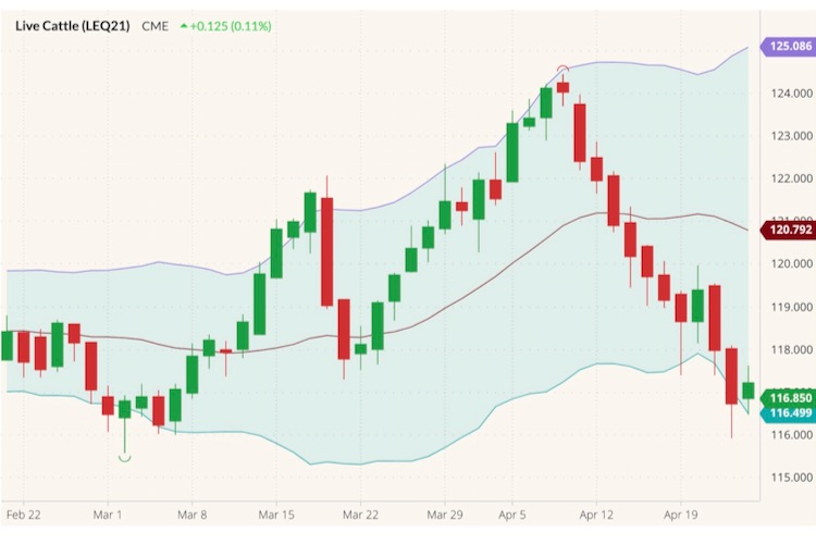 cme august live cattle