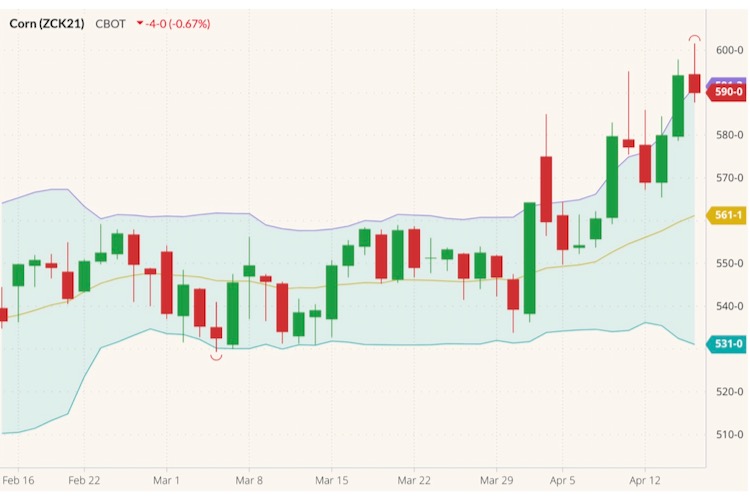 cbot may corn