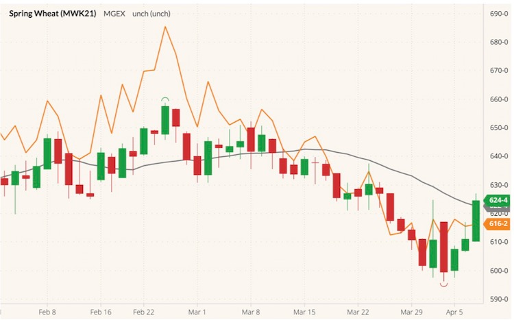 mgex may wheat