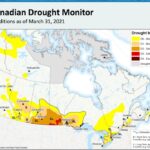 drought monitor march 2021
