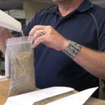 WA Grain and Pulse Solutions