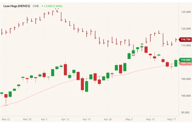 cme june lean hogs
